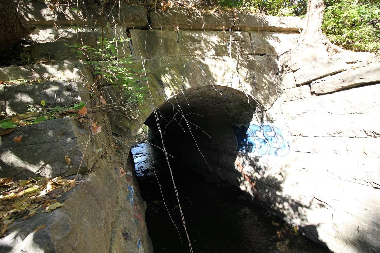 Under arch